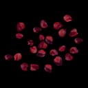 Red Berry Seed