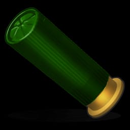 12 Gauge Slug