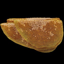 Beehive Natural