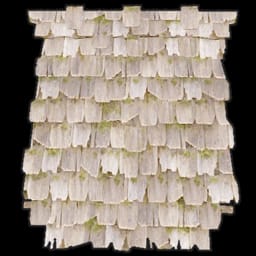 Wood Roof