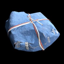 Wrapped Gift
