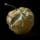 Rotten Apple