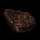 Burnt Bear Meat