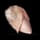 Raw Chicken Breast