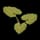 Pumpkin Plant Clone