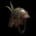 Coconut Armor Helmet
