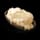Animal Fat
