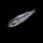 Anchovy