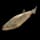Small Trout