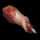 Raw Human Meat