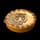 Big Cat Pie