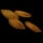 Pumpkin Seed