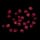 Red Berry Seed