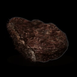 烤焦的熊肉