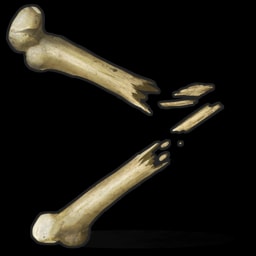 Fragmentos de hueso