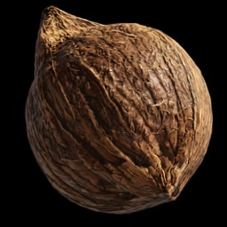 Coconut