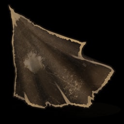 Cuero