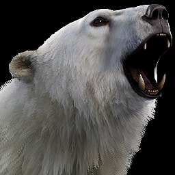 Polar Bear