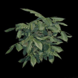 Potato (collectable)