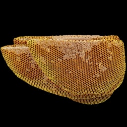 Beehive Natural
