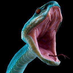 Snake