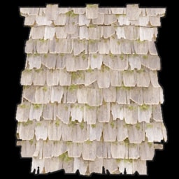 Wood Roof