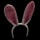 Bunny Ears