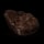 Burnt Bear Meat