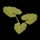 Pumpkin Plant Clone