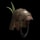 Coconut Armor Helmet