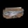 Fish Trophy