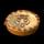 Big Cat Pie