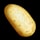Potato
