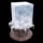 Ice Sculpture