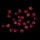 Red Berry Seed