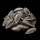 Sunflower Seed