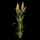 Wheat (collectable)